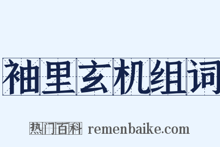 袖里玄机组词是什么意思的图片